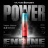 VAPOR STORM風暴5000口拋棄式電子煙｜主打網狀芯豐沛霧感與大容量｜適合偏好長效便利的玩家