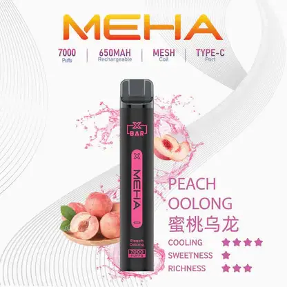MEHA-XBAR-拋棄式-7000口小黑條-14.webp MEHA XBAR魅嗨小黑條7000口拋棄式電子煙|主打沁涼層次與持久電力|適合偏好強烈冰爽吸感的玩家