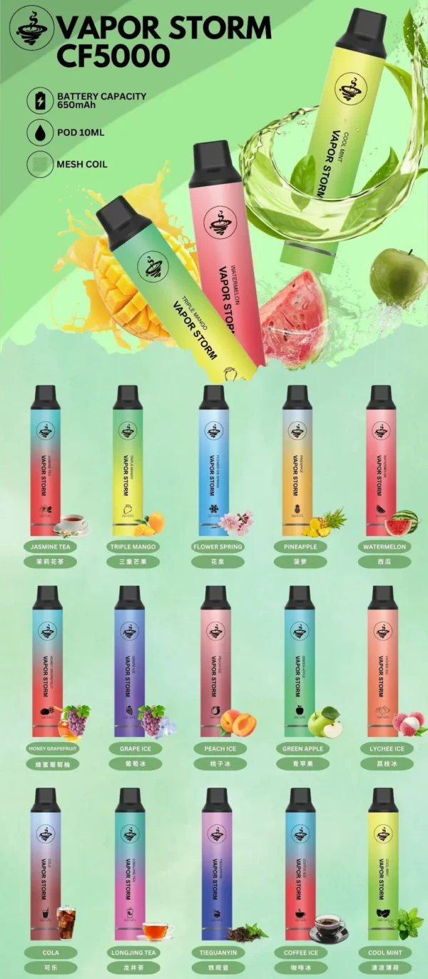 VAPOR STORM風暴5000口拋棄式電子煙｜主打網狀芯豐沛霧感與大容量｜適合偏好長效便利的玩家